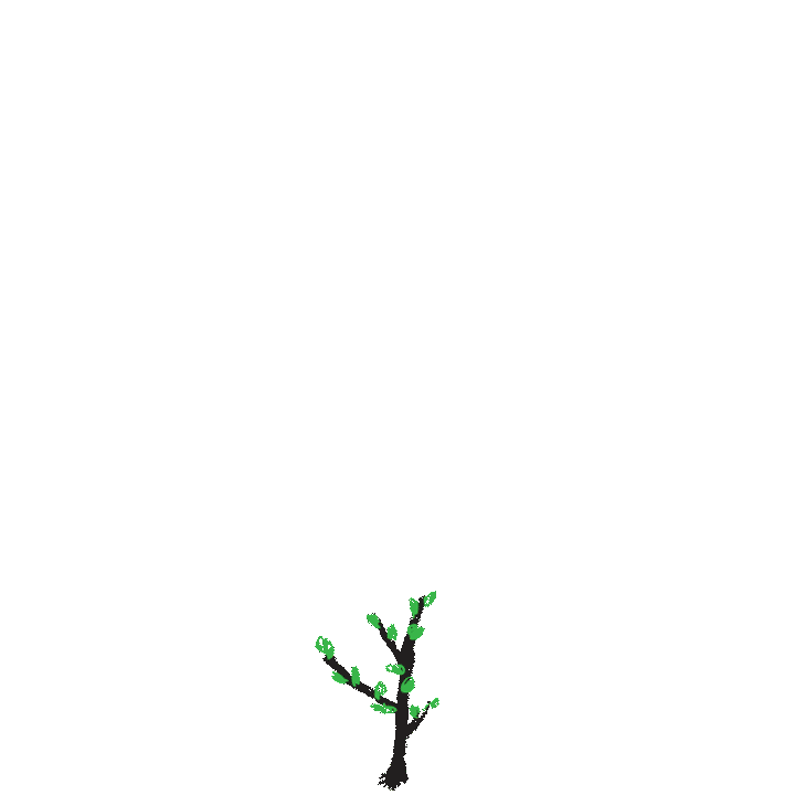 stories